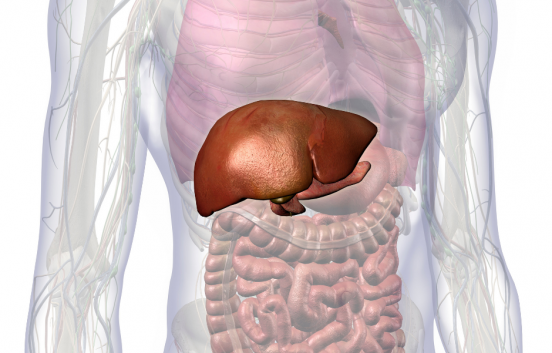 symptoms of liver disease, liver health, liver, love your liver, health, awareness, symptoms