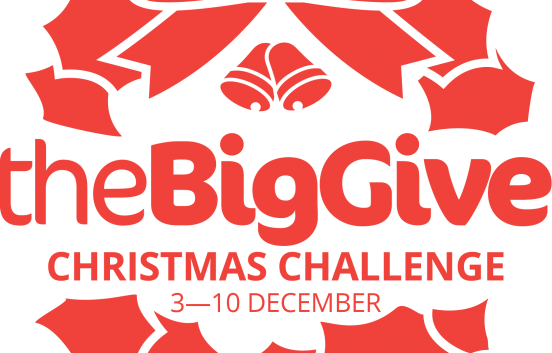 Big give logo