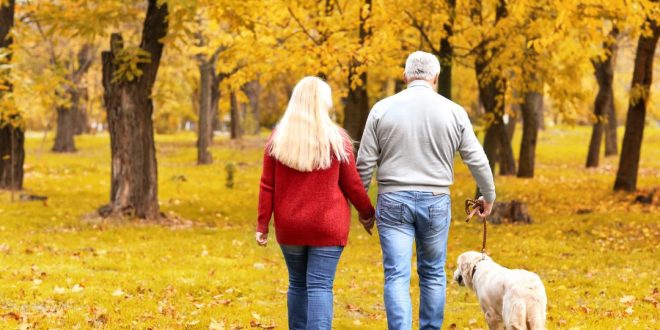 A middle aged white couple are walking a golden retriever dog in the woods. It is autumn and the trees and ground are covered in bright yellow leaves.